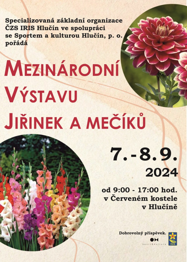 Mezinárodní výstava