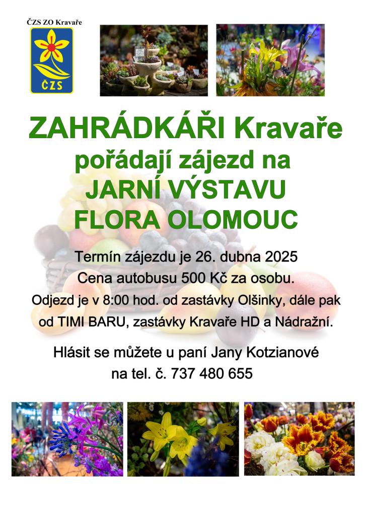 Flora Olomouc