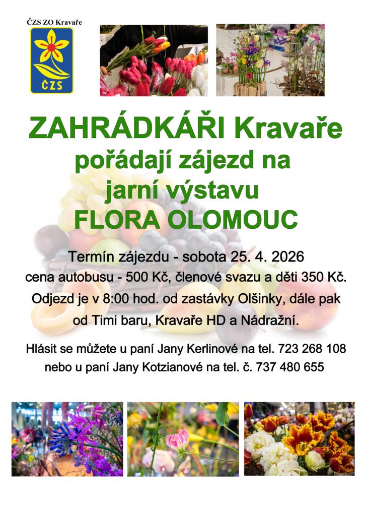 Plakát Flora Olomouc