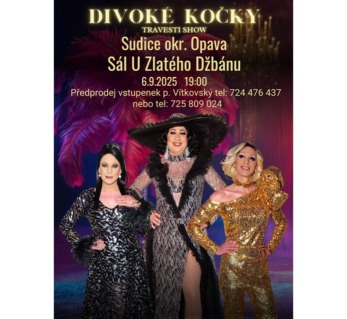 Divoké kočky
