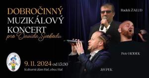 Muzikálový večer