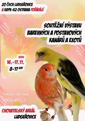 Výstava ptactva