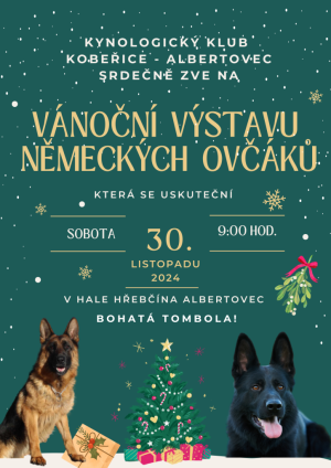 Vánoční výstava