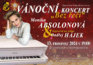 Vánoční koncert
