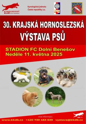 Výstava psů