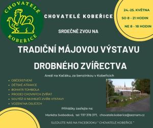 Výstava