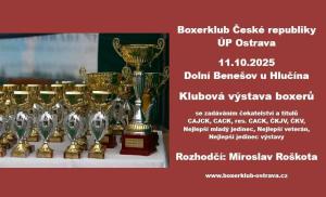 Výstava boxerů