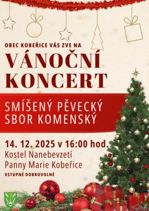 Vánoční koncert