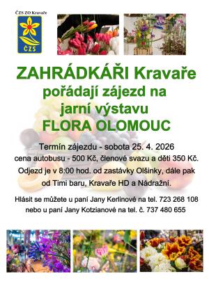 Plakát Flora Olomouc