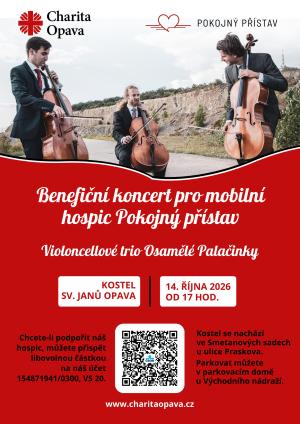 Plakát BENEFIČNÍ KONCERT OSAMĚLÉ PALAČINKY