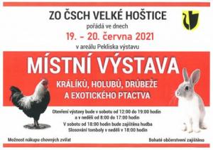 Výstava
