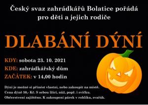 dýně