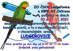 výstava
