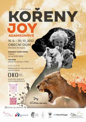 Kořeny Joy