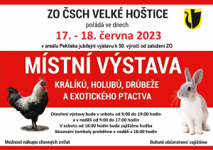 Výstava