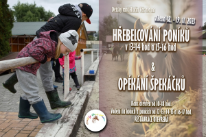Hřebelcování