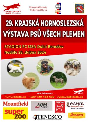 Výstava psů